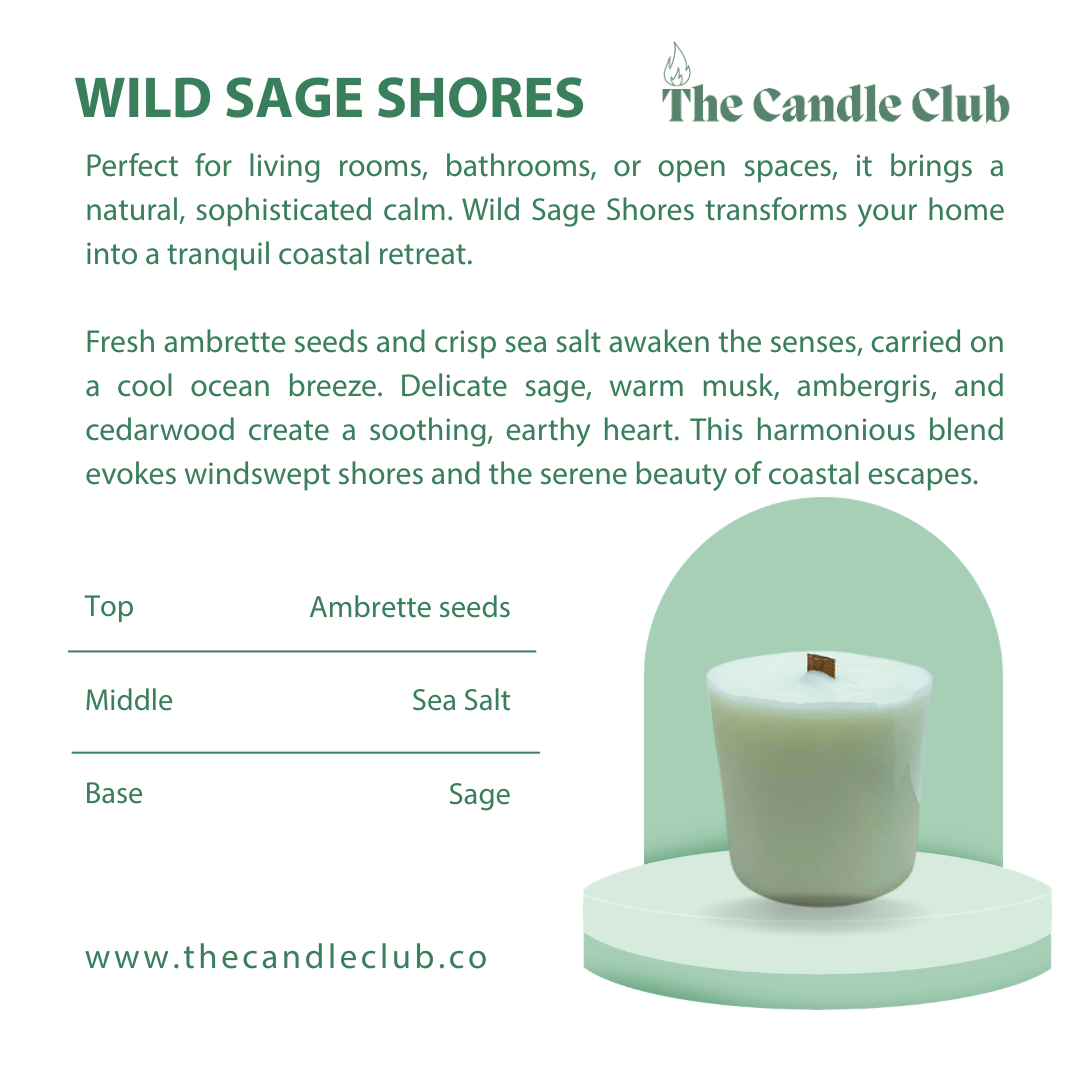 The Coastal Escape Starter